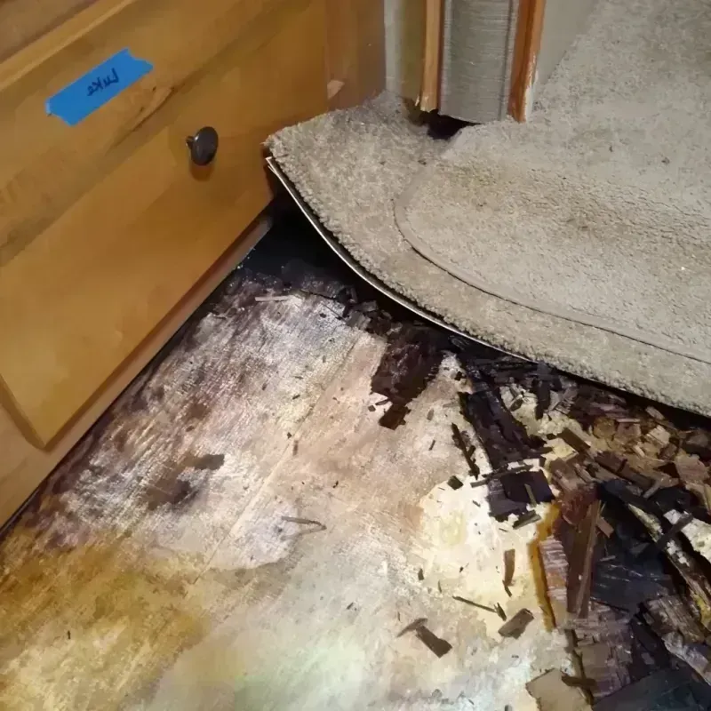 Best Wood Floor Water Damage Service in Macclenny, FL